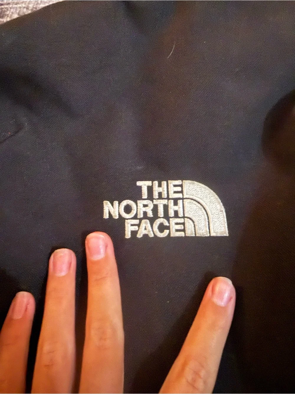 The North Face Jester Backpack - Black *Please check description!* Used Like New